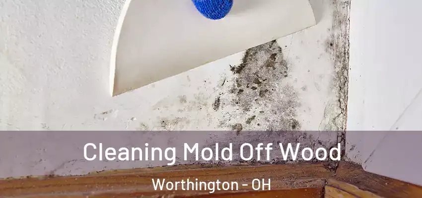 Cleaning Mold Off Wood Worthington - OH