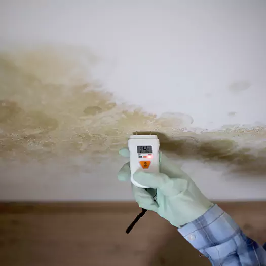 Reliable Mold Inspection Experts in Carey, OH