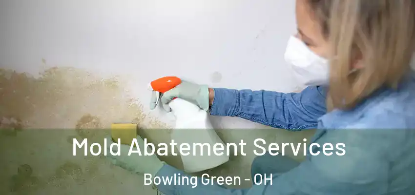  Mold Abatement Services Bowling Green - OH