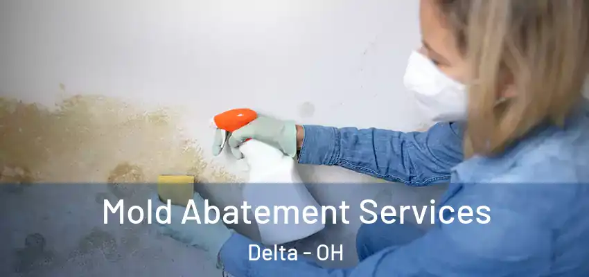 Mold Abatement Services Delta - OH