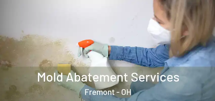  Mold Abatement Services Fremont - OH
