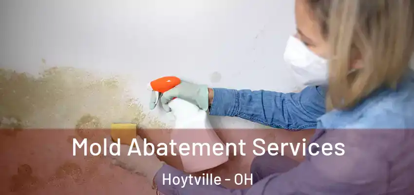  Mold Abatement Services Hoytville - OH