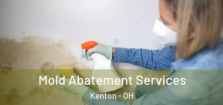  Mold Abatement Services Kenton - OH