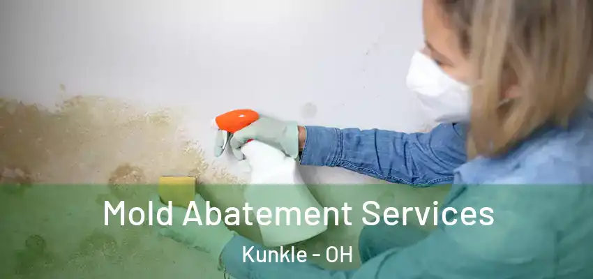  Mold Abatement Services Kunkle - OH