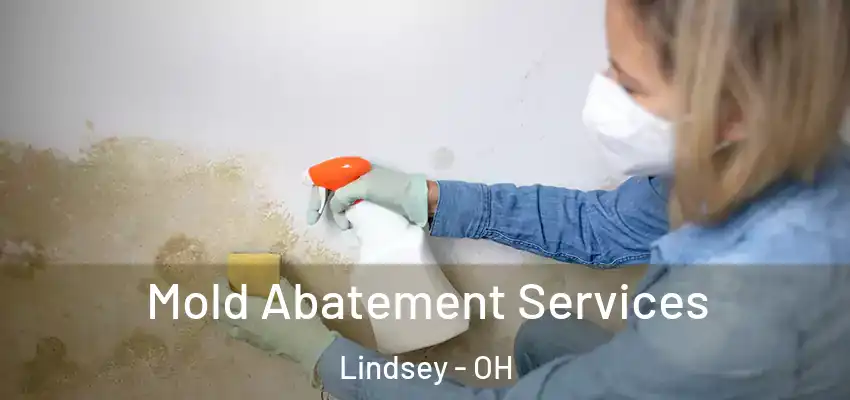  Mold Abatement Services Lindsey - OH