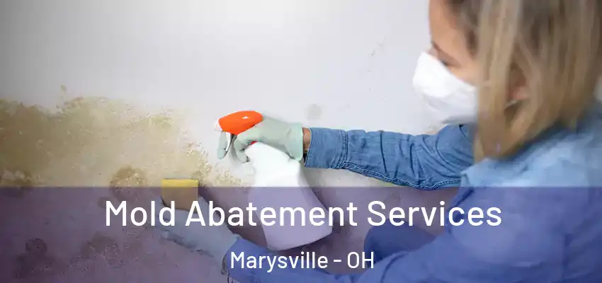  Mold Abatement Services Marysville - OH