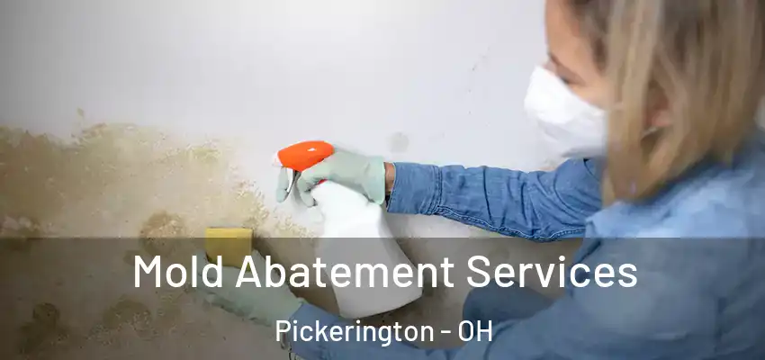  Mold Abatement Services Pickerington - OH