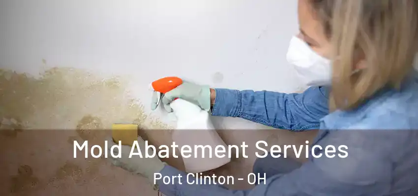  Mold Abatement Services Port Clinton - OH