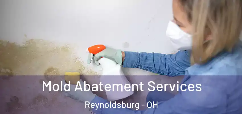 Mold Abatement Services Reynoldsburg - OH
