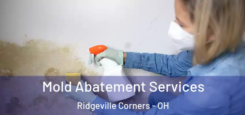 Mold Abatement Services Ridgeville Corners - OH