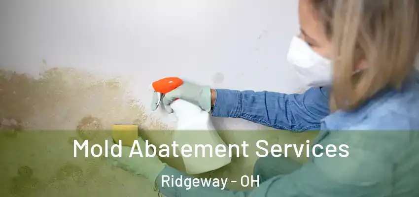  Mold Abatement Services Ridgeway - OH