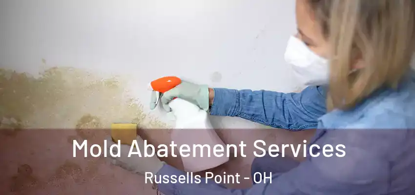  Mold Abatement Services Russells Point - OH