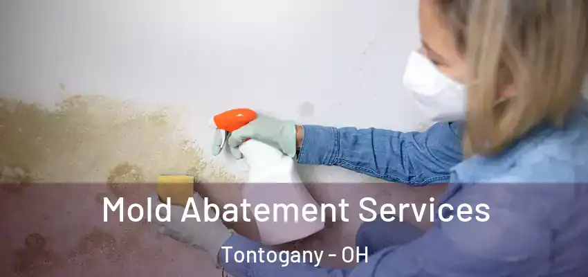  Mold Abatement Services Tontogany - OH