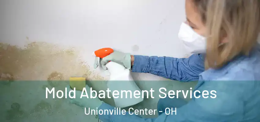 Mold Abatement Services Unionville Center - OH