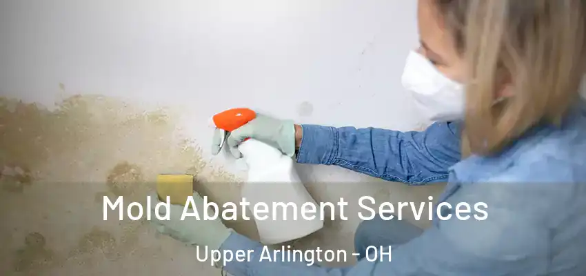 Mold Abatement Services Upper Arlington - OH