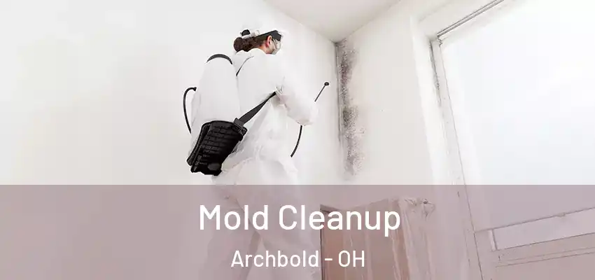  Mold Cleanup Archbold - OH