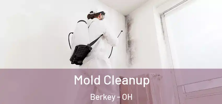  Mold Cleanup Berkey - OH