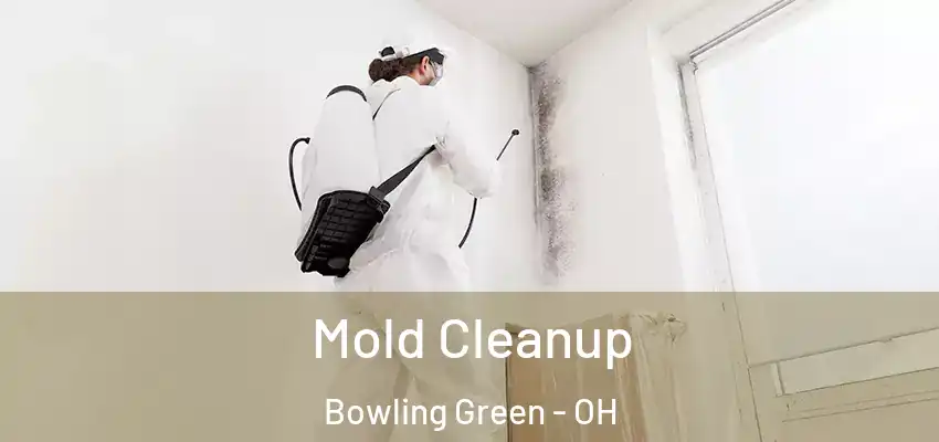 Mold Cleanup Bowling Green - OH
