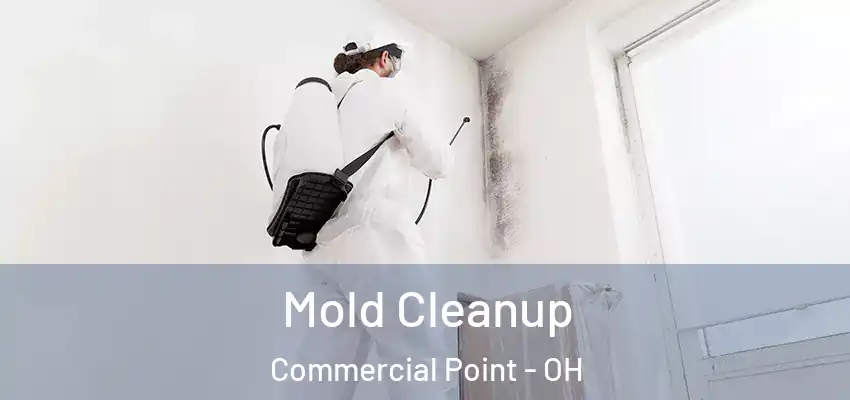 Mold Cleanup Commercial Point - OH