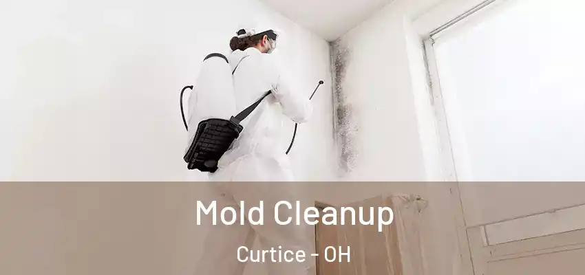 Mold Cleanup Curtice - OH
