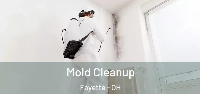 Mold Cleanup Fayette - OH