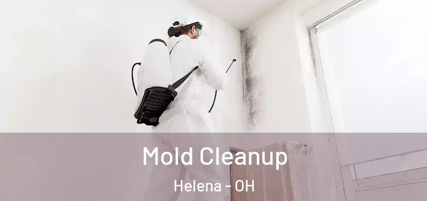  Mold Cleanup Helena - OH