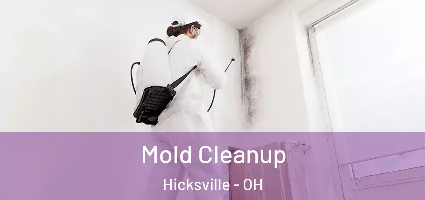 Mold Cleanup Hicksville - OH