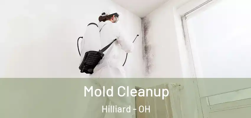  Mold Cleanup Hilliard - OH