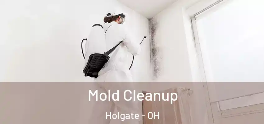  Mold Cleanup Holgate - OH