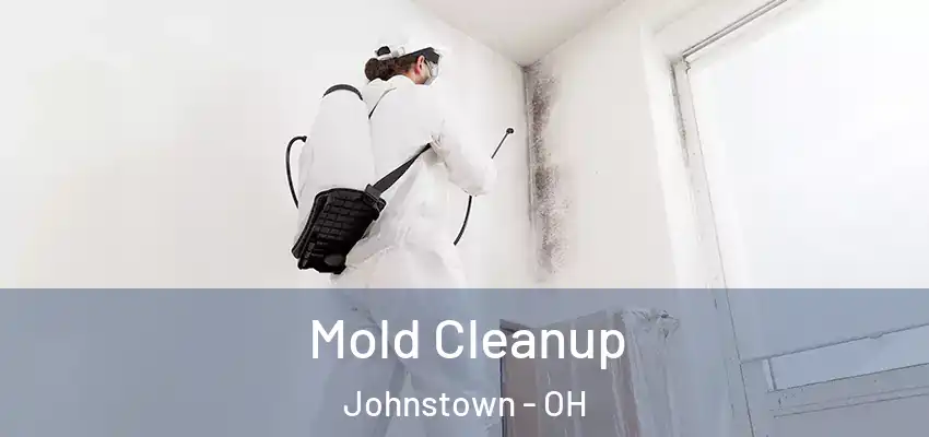 Mold Cleanup Johnstown - OH