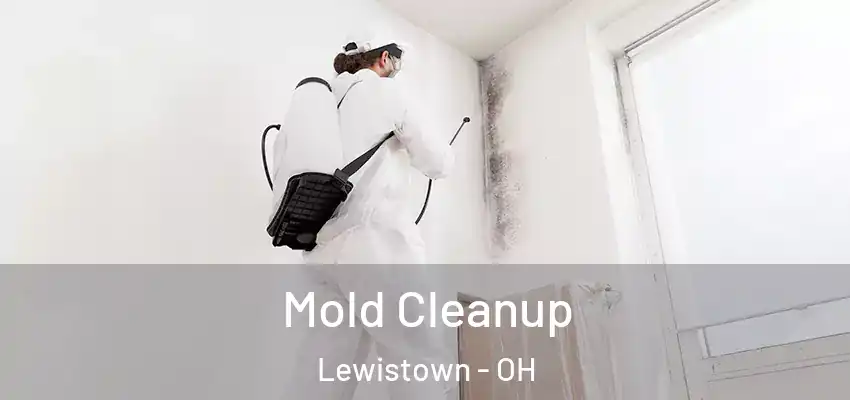 Mold Cleanup Lewistown - OH