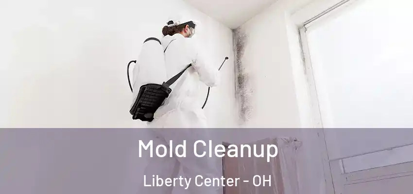  Mold Cleanup Liberty Center - OH