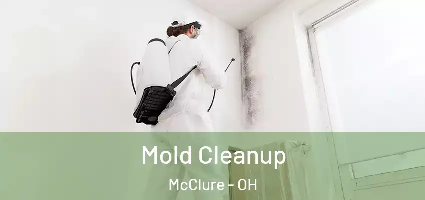 Mold Cleanup McClure - OH