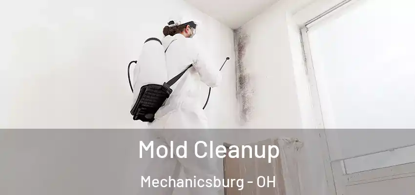  Mold Cleanup Mechanicsburg - OH