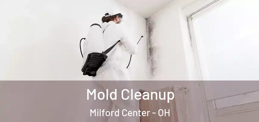  Mold Cleanup Milford Center - OH