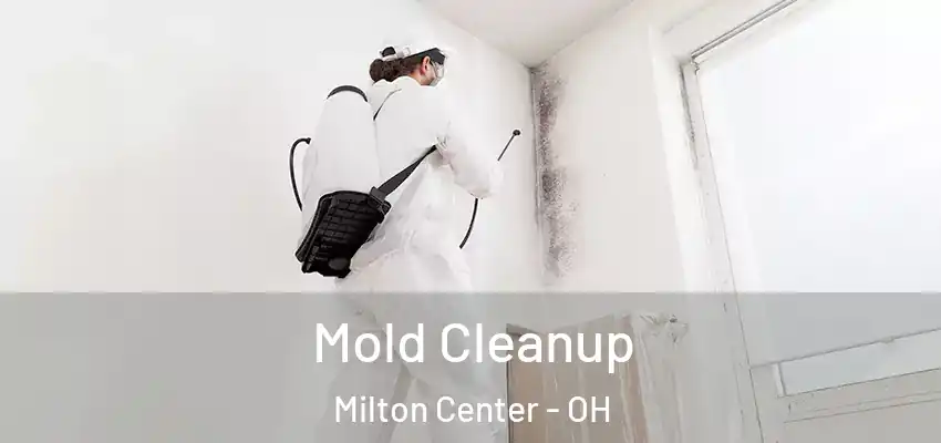 Mold Cleanup Milton Center - OH