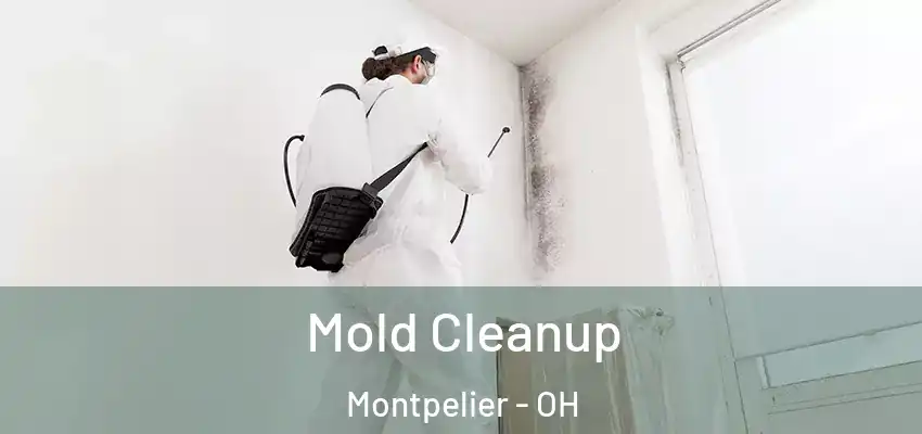  Mold Cleanup Montpelier - OH