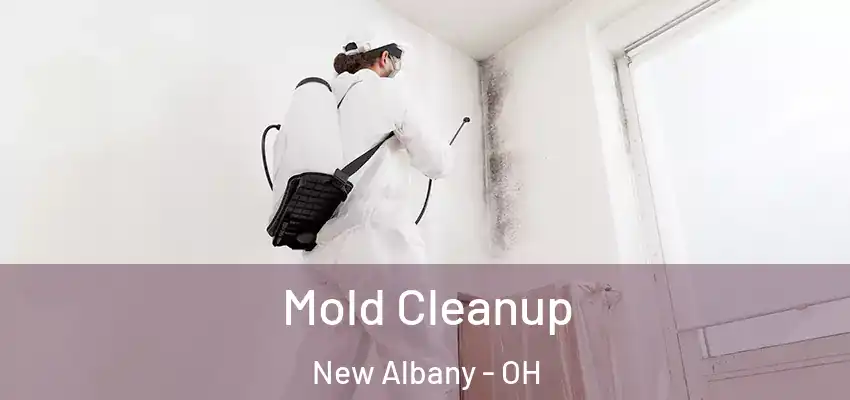  Mold Cleanup New Albany - OH