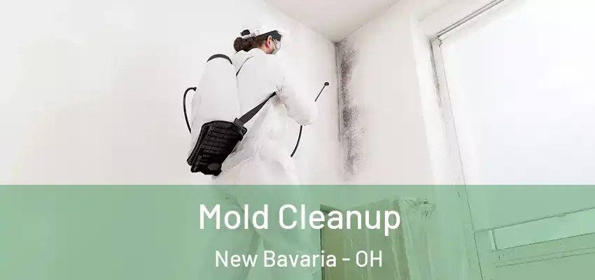  Mold Cleanup New Bavaria - OH