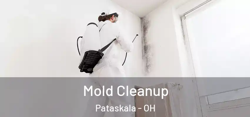 Mold Cleanup Pataskala - OH