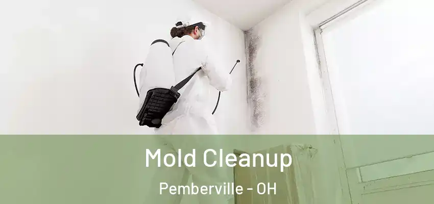  Mold Cleanup Pemberville - OH