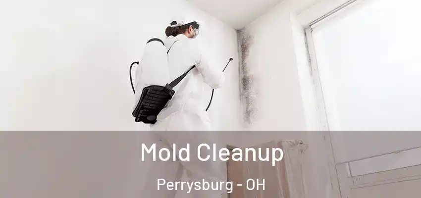 Mold Cleanup Perrysburg - OH