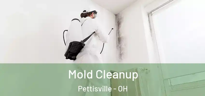  Mold Cleanup Pettisville - OH