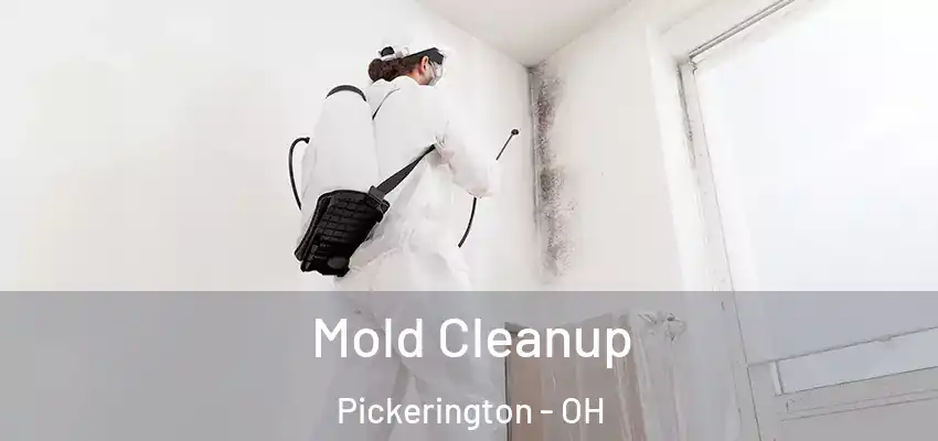 Mold Cleanup Pickerington - OH