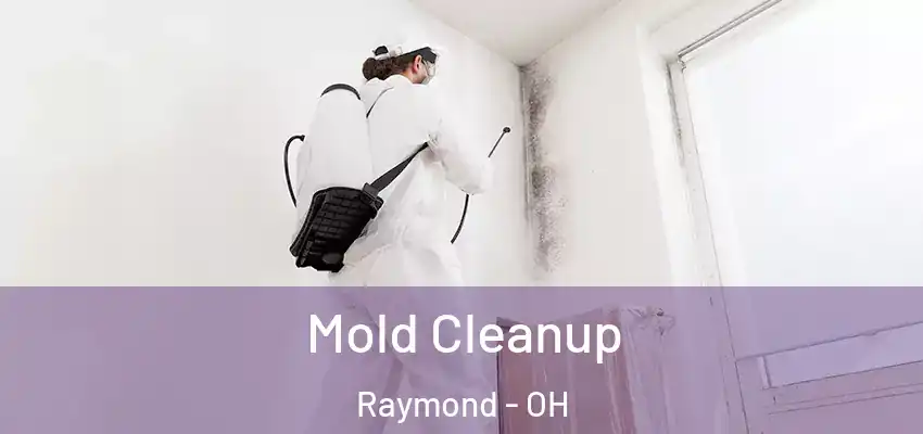 Mold Cleanup Raymond - OH