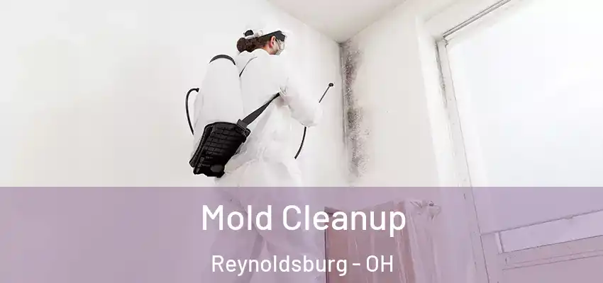  Mold Cleanup Reynoldsburg - OH
