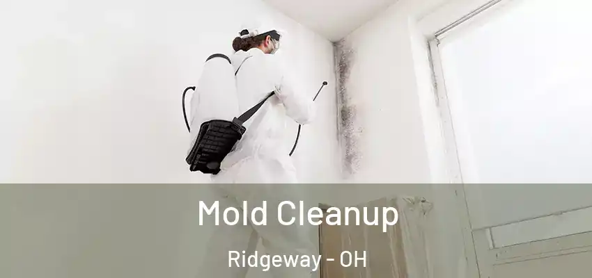  Mold Cleanup Ridgeway - OH