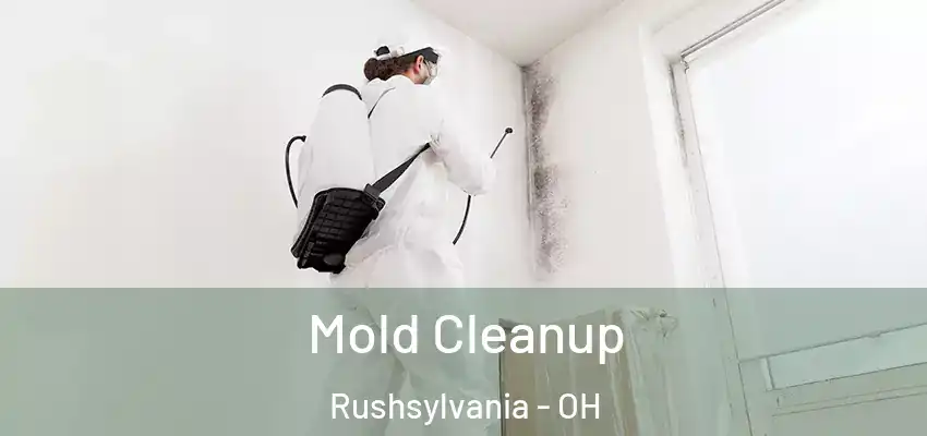 Mold Cleanup Rushsylvania - OH