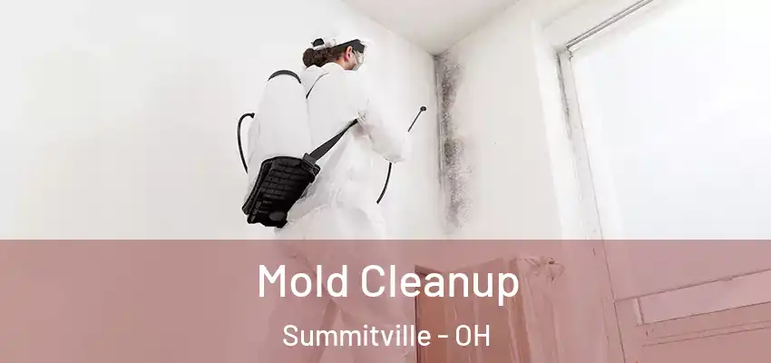 Mold Cleanup Summitville - OH