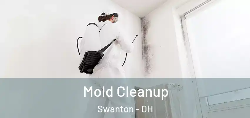 Mold Cleanup Swanton - OH